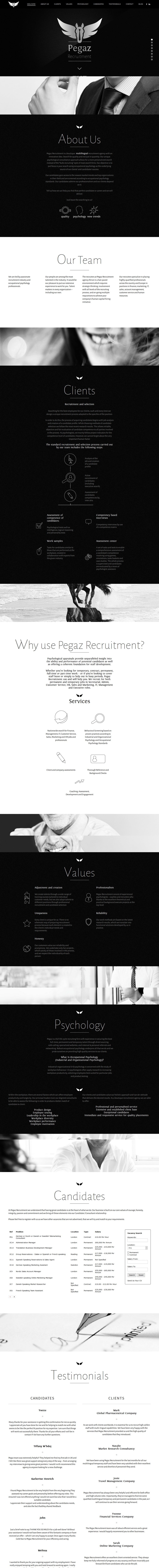 Pegaz Recruitment — wersja monochromatyczna (cold luxury)